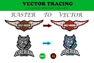 do vector face, redesign, vector art, vector line art and hand drawing