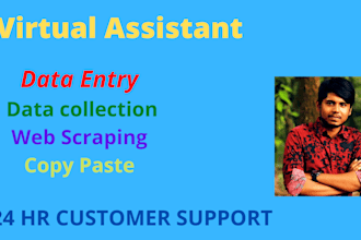 do data entry, pdf to excel convert