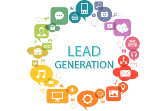 do data entry,leads generation,data mining and database linkedin leads