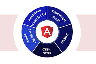 develop website using angular and reactjs