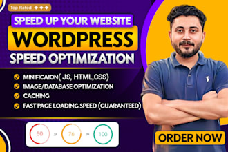 do wordpress speed optimization for google pagespeed insight