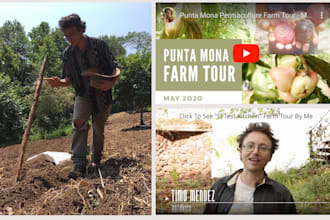 write permaculture related content