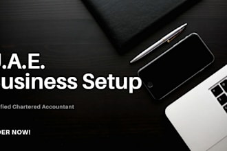 be your uae vat adviser and will file the vat return