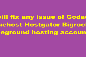 fix any issue of godaddy bluehost hostgator bigrock siteground hosting account