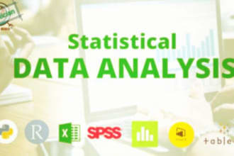 handle statistical data analysis spss, excel, stata, jasp, jmp, power bi