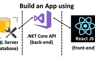 do any work in asp net core mvc 5 6, react api integration