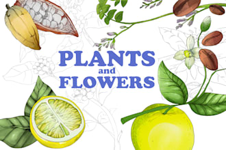 draw flower, plant, fruit digitally