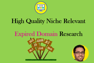 search high quality niche relevant expired domain