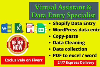 be your reliable data entry operator 24 hours