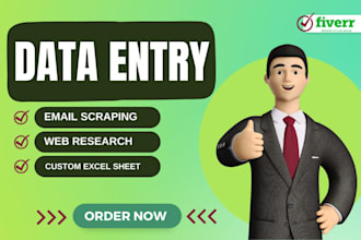 create email lists, data entry, web scraping, custom excel sheets, python