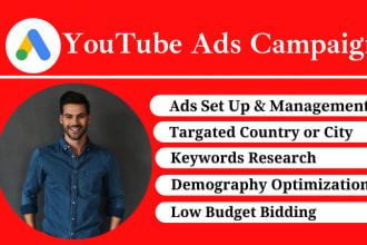set up and manage your google adwords youtube video ads campaign