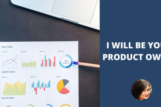be your salesforce business analyst