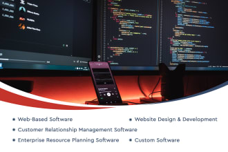 develop complete software or web applications for requirements