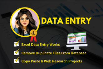 do data entry, clean, edit, organize and merge excel data