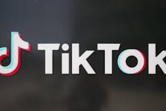 grow and promote tik tok organically your tiktok account