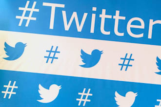 do organic twitter growth and promotion