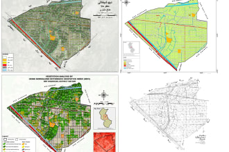 do gis mapping, spatial, image analysis and gis task