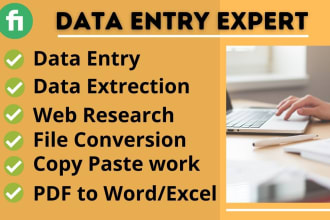 do data entry typing work, PDF data and  file conversion
