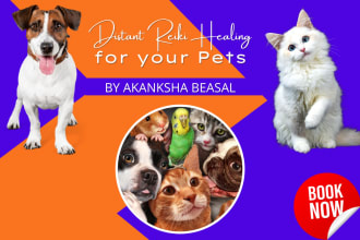send powerful distance healing to your pets