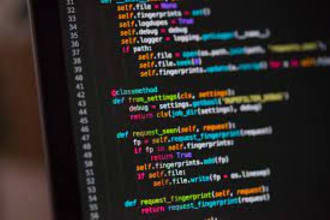 teach mathematics and computer science