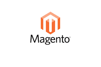diagnose problem with your magento