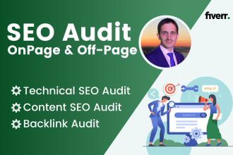 provide a professional seo audit report with long term action plan