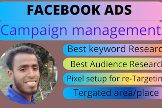 be your facebook ads campaign manager and run ads campaigns