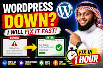 fix wordpress bugs, issues, errors and update wordpress rapidly