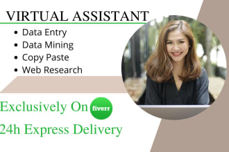be a virtual assistant for data entry, and copy paste and excel data entry