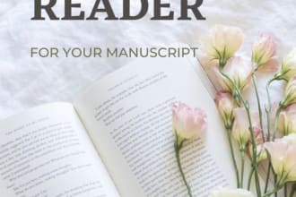 beta read your book with optional lite edits