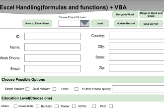 excel vba macro formulas and functions