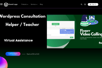 be wordpress teacher,consultant,helper or virtual assistance via video call