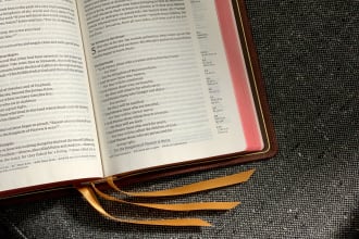 translate from english to nepali and vice versa