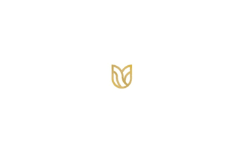 design perfect pairing wine logo