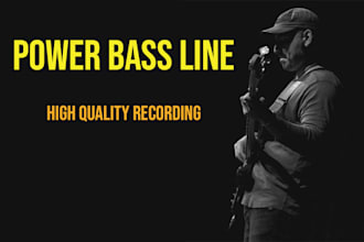 be your bass player and record high quality di and amp , any genre