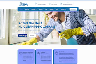 build professional and dynamic wordpress website