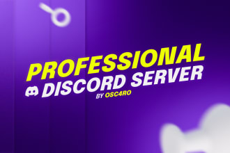 professionally set up your discord server