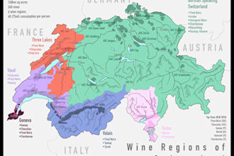 create a map for your business