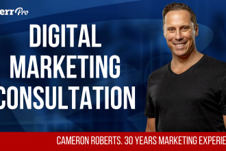 provide a digital marketing consultation
