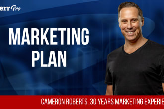 create a detailed marketing plan with strategic action steps