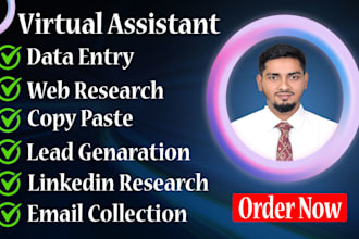 do accurate data entry copy peste web scrap excel google sheets