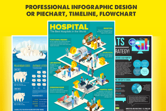 do professional infographic design or piechart, timeline, flowchart