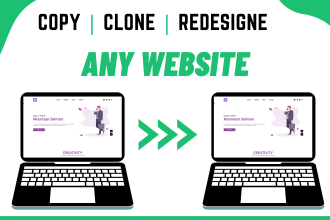make the exact copy or clone of any website