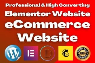 design or redesign elementor website, clone elementor website by elementor pro