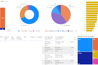 custom power bi dashboards and reports