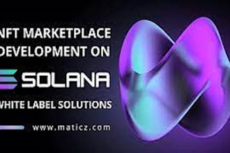build nft minting website, solana nft minting website, nft