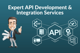 do professional API development and API integration