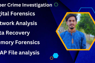 do digital forensics, cyber crime investigation and data recovery