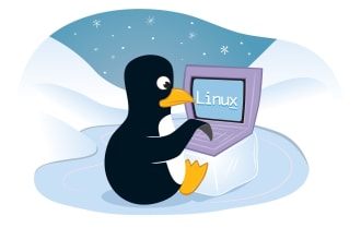 setup,fix,secure your cloud vps for wordpress