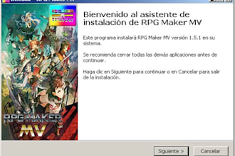 do installer setup functional on all windows